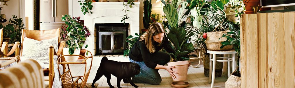 Luftrenare damm och partiklar