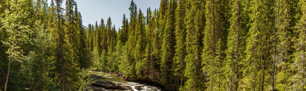 Canvac – produkter för ett hälsosamt inomhusklimat