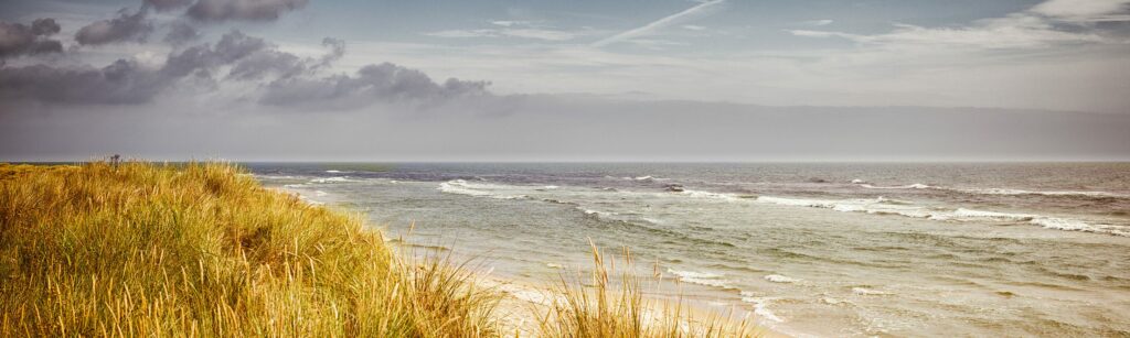 Bilde av sand med gress.